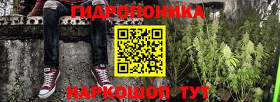 ALPHA-PVP Кандалакша